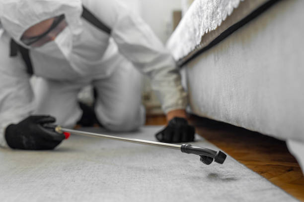Professional Bed Bug Control technician working in Roxana, IL